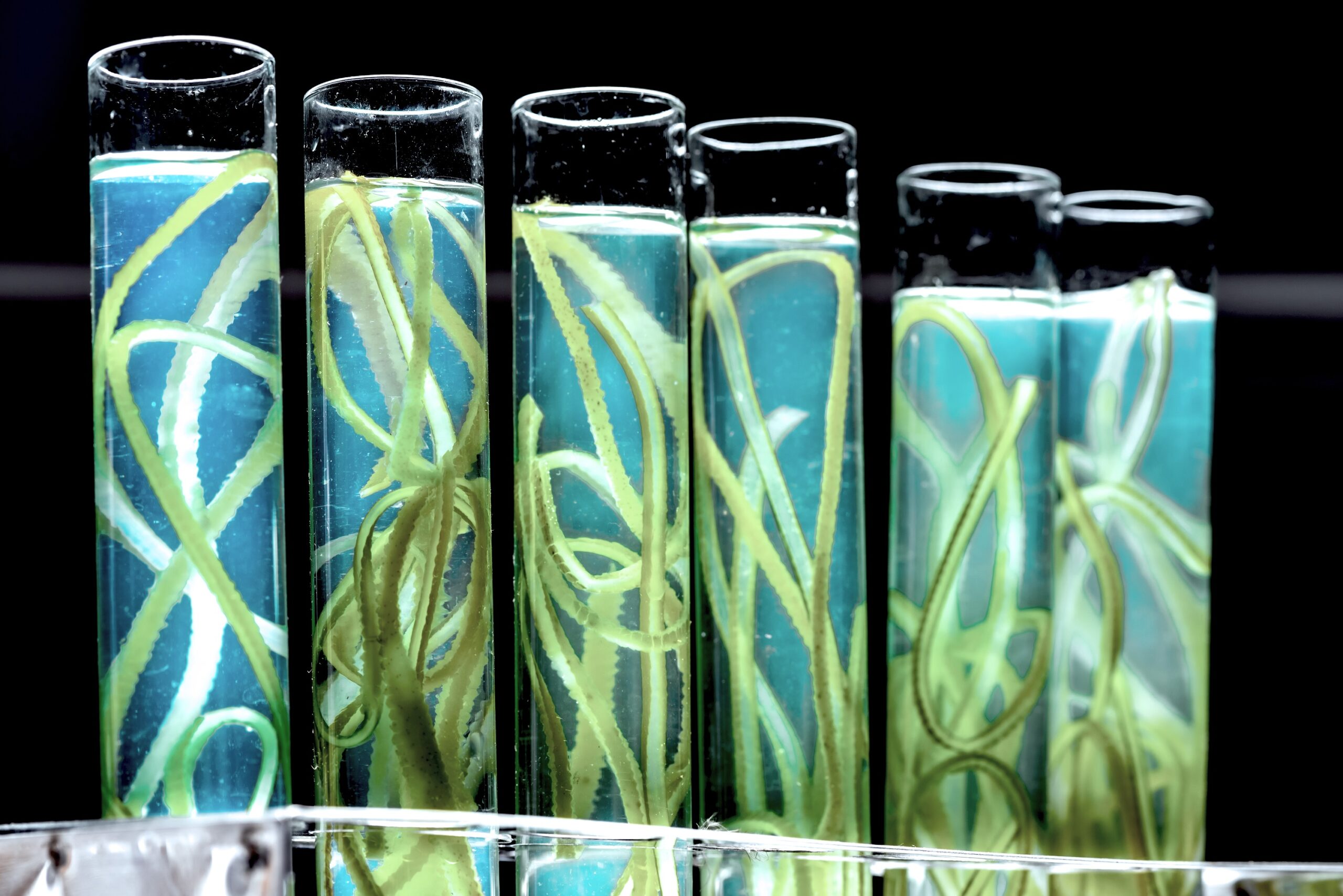 descarbonizacao-do-transporte-requer-diferentes-tecnologias