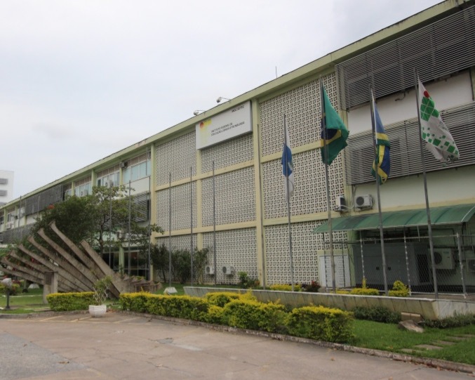 iff-tera-novos-cursos-a-distancia-a-partir-de-2025