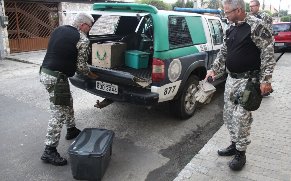 queimadas-geram-aparecimento-de-animais-silvestres-em-area-urbana-de-campos