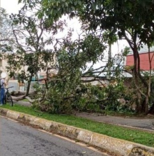 ciclovia-e-interditada-apos-queda-de-arvore-em-campos