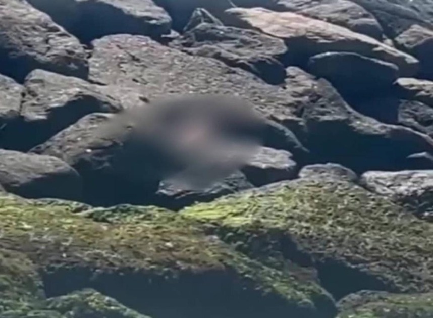 corpo-com-marcas-de-violencia-e-encontrado-na-praia-do-acu