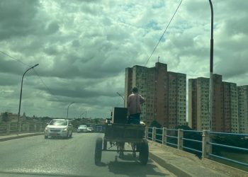 Nove anos após a lei Campos passa a proibir carroças nas principais vias urbanas