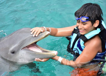 Após condenação e polêmico pedido de indenização, ‘Caso João Pedro’ ganha nova fase