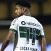 Coritiba marca no fim, desbanca rival pelo acesso e vira líder da Série B