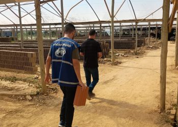 IPEM realiza fiscalização em Olarias de Campos após denúncias