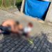 Mulher é atacada por pitbull enquanto caminhava em condomínio