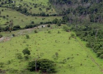 Governo prorroga prazo para georreferenciamento de imóveis rurais