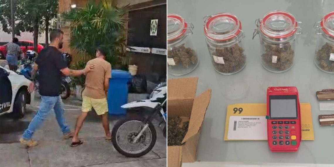 Polícia Civil prende foragido da Justiça em Campos e encontra estufa com cinco pés de maconha na sua casa