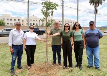Grupo Barcelos dá sequência ao plantio de árvores em Campos