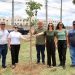 Grupo Barcelos dá sequência ao plantio de árvores em Campos