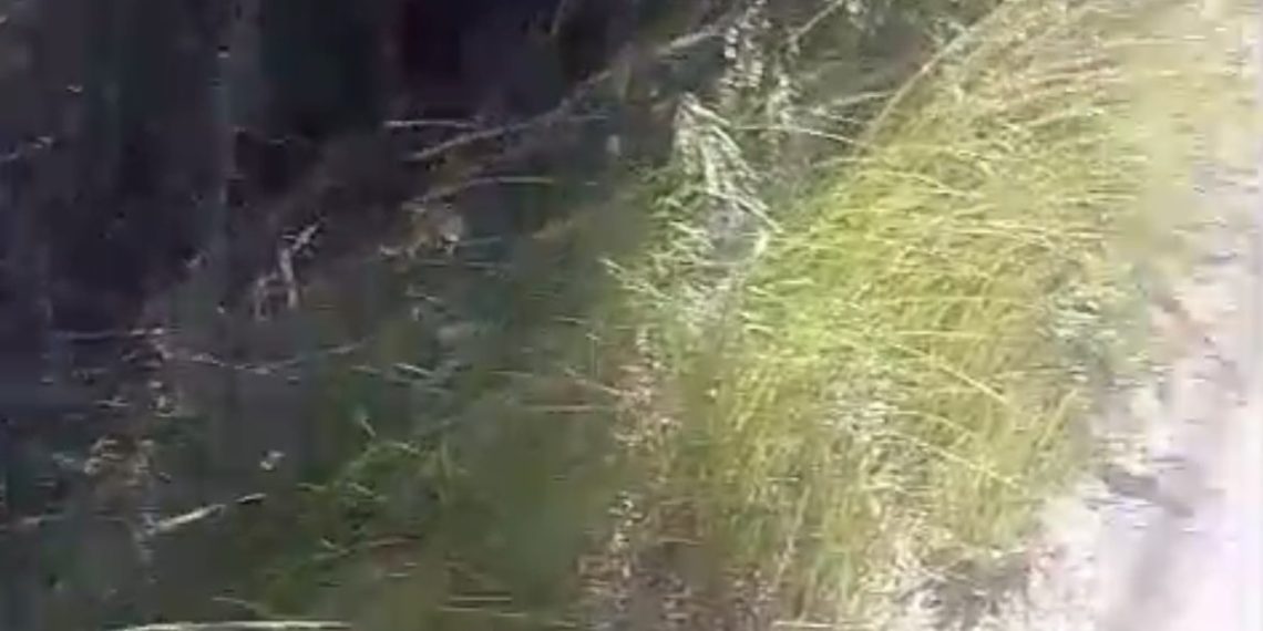 Homem morre após acidente de moto na Estrada do Porto do Açu