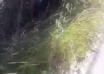 Homem morre após acidente de moto na Estrada do Porto do Açu