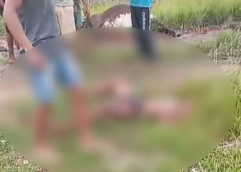 Morre homem que atropelou vaca durante grave acidente em Guarus