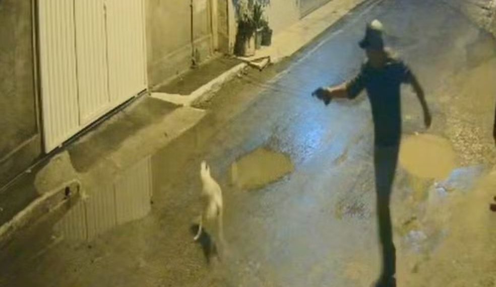 Homem que matou cachorro do vizinho a tiros é preso pela Polícia Civil