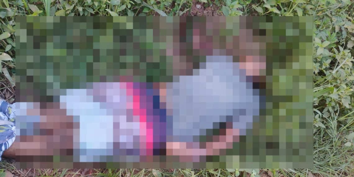 Homem é encontrado morto dentro de canavial em Campos e ossada humana é encontrada em SFI