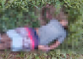 Homem é encontrado morto dentro de canavial em Campos e ossada humana é encontrada em SFI