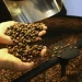 Exportação de café do Brasil cai em 2025, mas bate recorde em receita