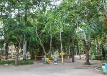 Horto Municipal e Morro do Itaoca irão passar por revitalização