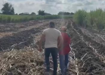 Homem acusado de abusar sexualmente da própria filha de 8 anos é preso em Campos