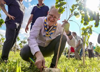 COP15 no Brasil promove conexão entre povos e territórios