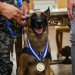 Medalha Tirandentes é entregue para Cão Hulk por atuação na maior apreensão de drogas do Rio