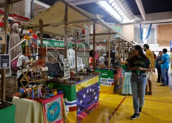 Dia Mundial do Refugiado: pedidos de asilo sobem 11% no Brasil em 2025