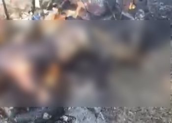 Corpo carbonizado é encontrado em área de mata, em Campos