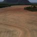 Fim da Moratória da Soja pode ampliar destruição da Amazônia