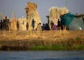 Fome mundial atinge 645 milhões de pessoas, diz relatório da ONU
