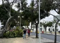 Rio de Janeiro tem duas mortes e um desaparecido depois de ventania