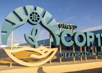 Estados do Nordeste tentam atrair investimentos para Caatinga na COP17