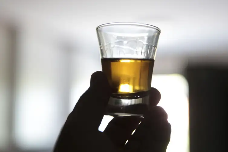 Cresce o número de estabelecimentos na cadeia produtiva da cachaça