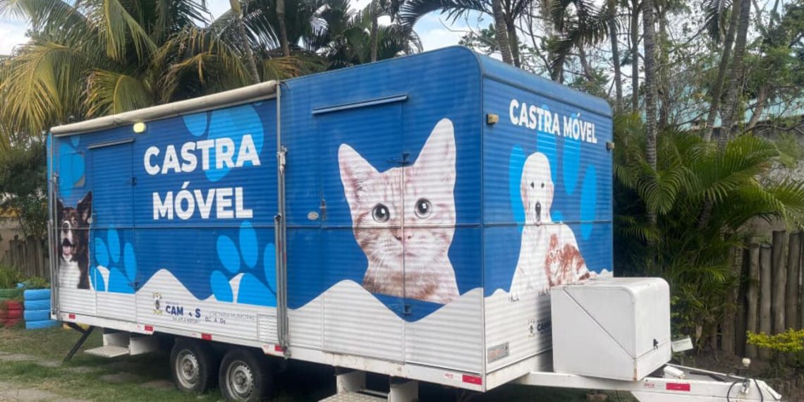 Moradores de oito bairros de Campos poderão inscrever cães e gatos para castração